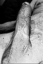 me24, foto 882x1312, 1 reacties, 1 stemmen