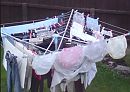 men splastieke luier broekjes, foto 500x355, 3 reacties, 10 stemmen