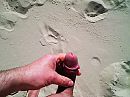 met wie op texel?, foto 4000x3000, 3 reacties, 10 stemmen