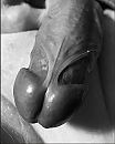 mijn heerlijke eikel, foto 836x1038, 9 reacties, 15 stemmen