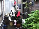 mijn kerstbom, foto 2048x1536, 2 reacties, 4 stemmen
