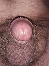 mijn penis, foto 600x800, 3 reacties, 10 stemmen
