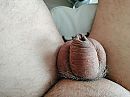 mijn piemeltje, foto 4000x3000, 1 reacties, 6 stemmen