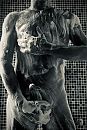 ...morning shower...., foto 1549x2304, 4 reacties, 9 stemmen