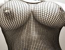netjes, foto 2485x1930, 74 reacties, 198 stemmen