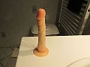 nieuw probeersel, foto 4000x3000, 6 reacties, 16 stemmen