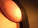 nog steeds warm, foto 1599x1202, 8 reacties, 31 stemmen