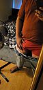 nog zin in wat lekkers?, foto 1080x2196, 0 reacties, 0 stemmen