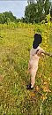 op stap naakt, foto 1080x2340, 0 reacties, 5 stemmen