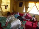 op zen hondjes zitten xxxxxx, foto 2560x1920, 5 reacties, 19 stemmen