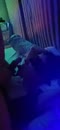 party, film 00:00:18, 2 reacties, 103 stemmen