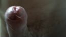 penis close up tour, film 00:00:16, 1 reacties, 3 stemmen