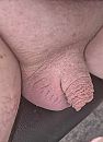 penisje, foto 525x720, 3 reacties, 8 stemmen