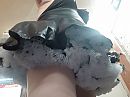 petticoat en nylons, foto 4000x3000, 7 reacties, 21 stemmen