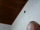 pijpertje, film 00:00:00, 39 reacties, 114 stemmen