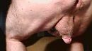 pik ..., foto 640x360, 0 reacties, 0 stemmen