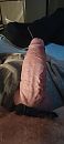 pik, foto 1800x4000, 2 reacties, 13 stemmen