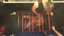pissen, film 00:00:00, 7 reacties, 26 stemmen