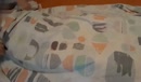plassen in bed, film 00:00:00, 8 reacties, 10 stemmen
