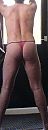 plume, foto 321x859, 6 reacties, 13 stemmen