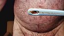 poep ..., foto 640x360, 2 reacties, 0 stemmen