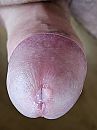 precum, foto 3000x4000, 2 reacties, 11 stemmen