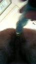 puta caliente, film 00:00:00, 3 reacties, 9 stemmen
