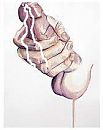rukken, foto 168x212, 7 reacties, 8 stemmen