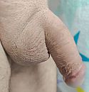rustig nu, foto 3008x3110, 3 reacties, 8 stemmen