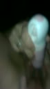 sex, film 00:00:24, 2 reacties, 36 stemmen