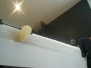 shot geil langs achter..., film 00:00:28, 1 reacties, 4 stemmen