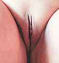 slettekut zonder haar, foto 1401x1492, 17 reacties, 40 stemmen