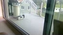 spannend, film 00:00:17, 8 reacties, 17 stemmen