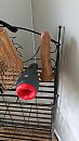 speeltjes, foto 2160x3840, 4 reacties, 6 stemmen