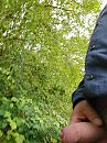 spelen in het bos, foto 2448x3264, 0 reacties, 1 stemmen
