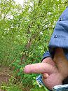 spelen in het bos, foto 2448x3264, 4 reacties, 16 stemmen