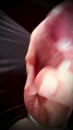 spuiten, film 00:00:24, 62 reacties, 95 stemmen