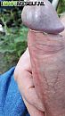 spuitfotos/Cocktribute, foto 309x550, 0 reacties, 1 stemmen