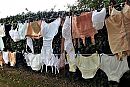 te koop gezet, foto 563x380, 4 reacties, 8 stemmen