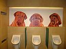 toiletten Centraal Station, foto 922x692, 0 reacties, 9 stemmen