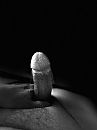 trying art, foto 3000x4000, 3 reacties, 5 stemmen