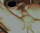 uit archief, foto 1528x1284, 3 reacties, 23 stemmen