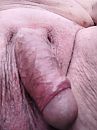 uitgeteld, foto 3000x4000, 11 reacties, 22 stemmen