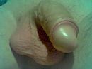 uncut004, foto 640x480, 1 reacties, 9 stemmen
