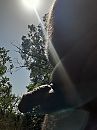 vanmorge, foto 2556x3408, 3 reacties, 9 stemmen