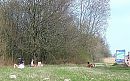 veluwemilf heeft lentekriebels, foto 1087x679, 34 reacties, 128 stemmen