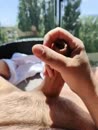 verlangen naar zomer, film 00:00:11, 17 reacties, 43 stemmen