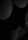 vibo geil, film 00:00:00, 14 reacties, 47 stemmen