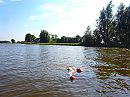 vlot, foto 2048x1536, 198 reacties, 228 stemmen