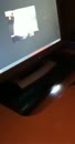 voor gretalief, film 00:00:00, 5 reacties, 14 stemmen